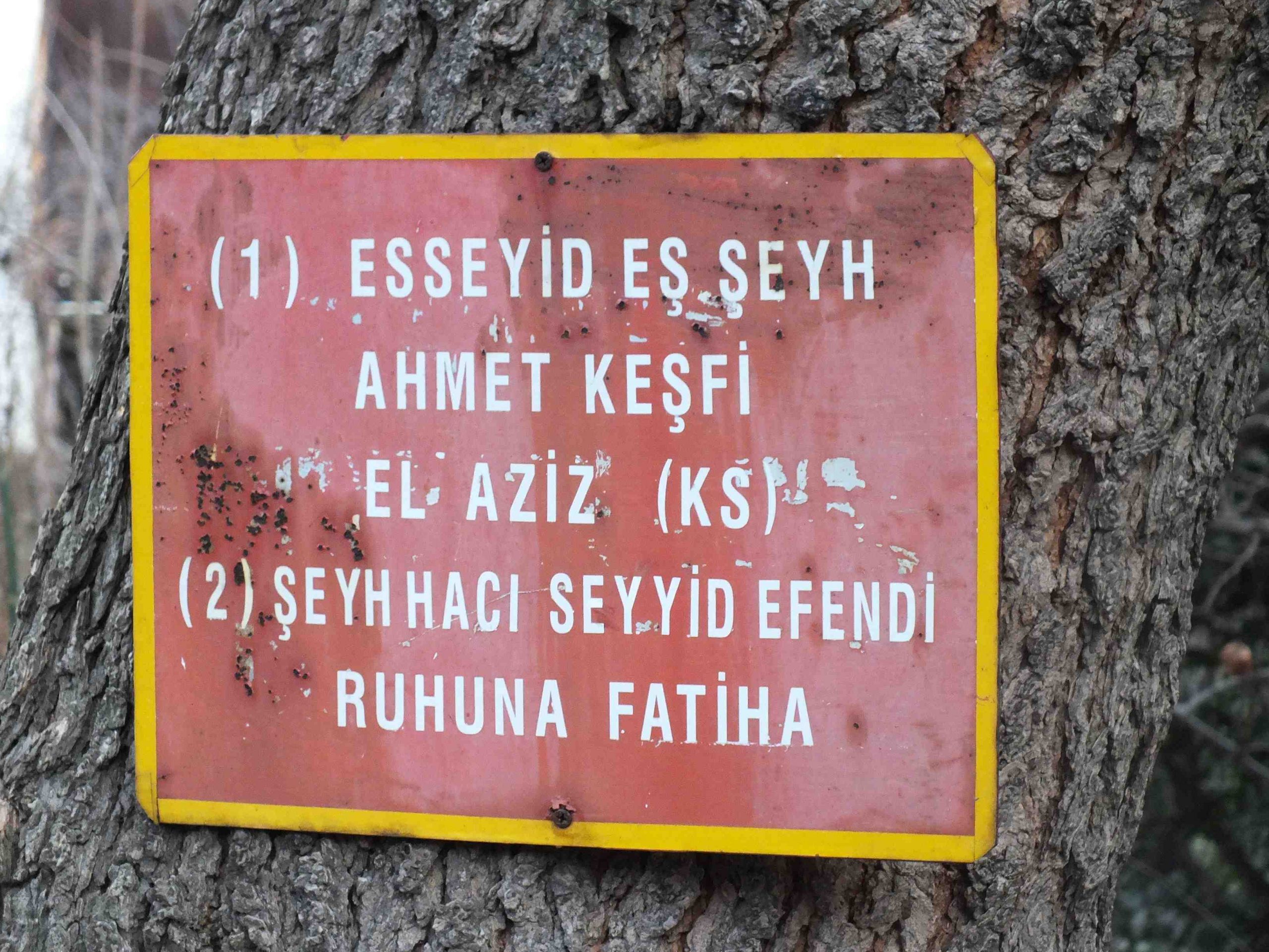 Şeyh Hacı Seyid Efendi