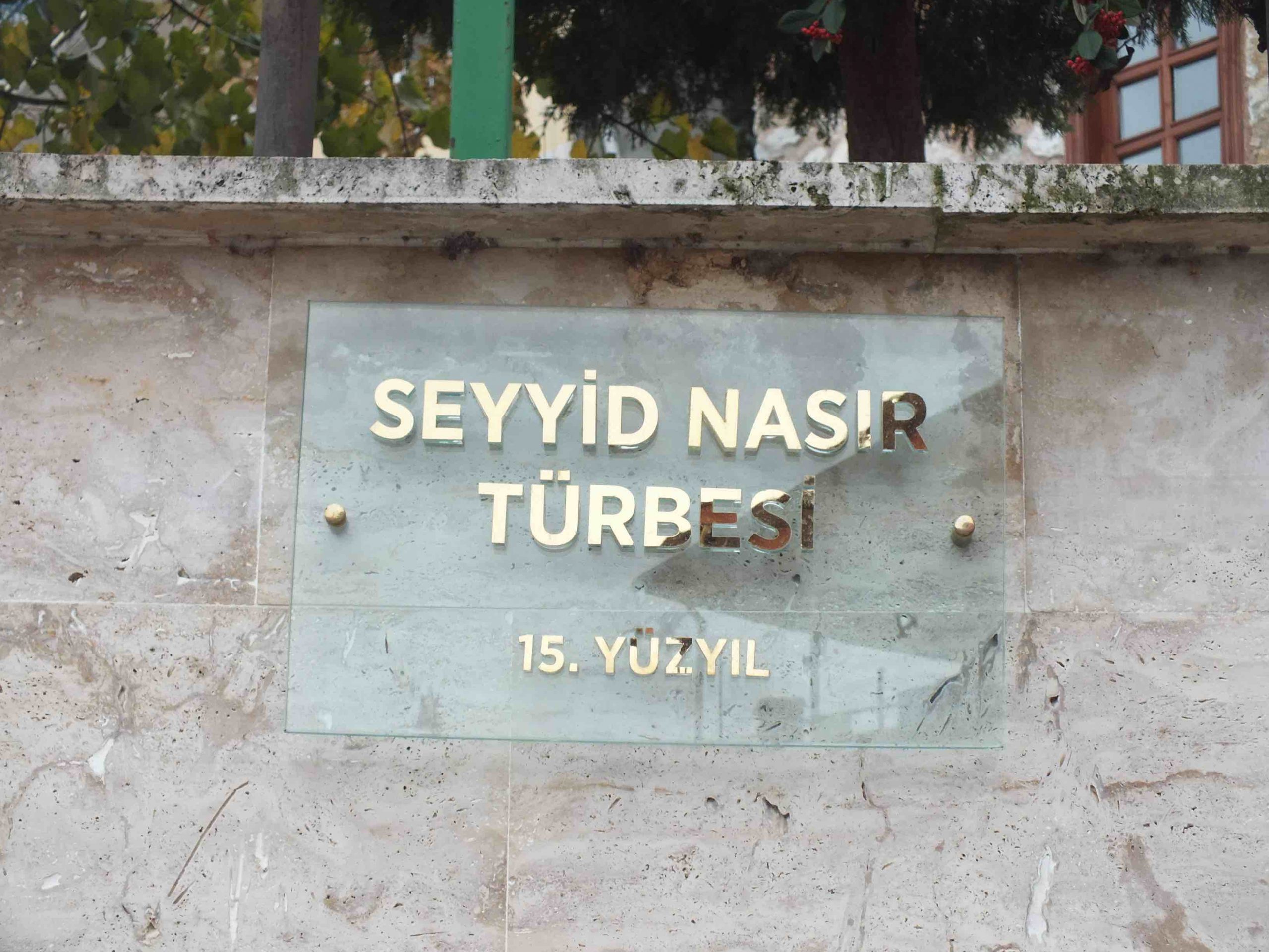 Seyyid Nasır (k.s.)