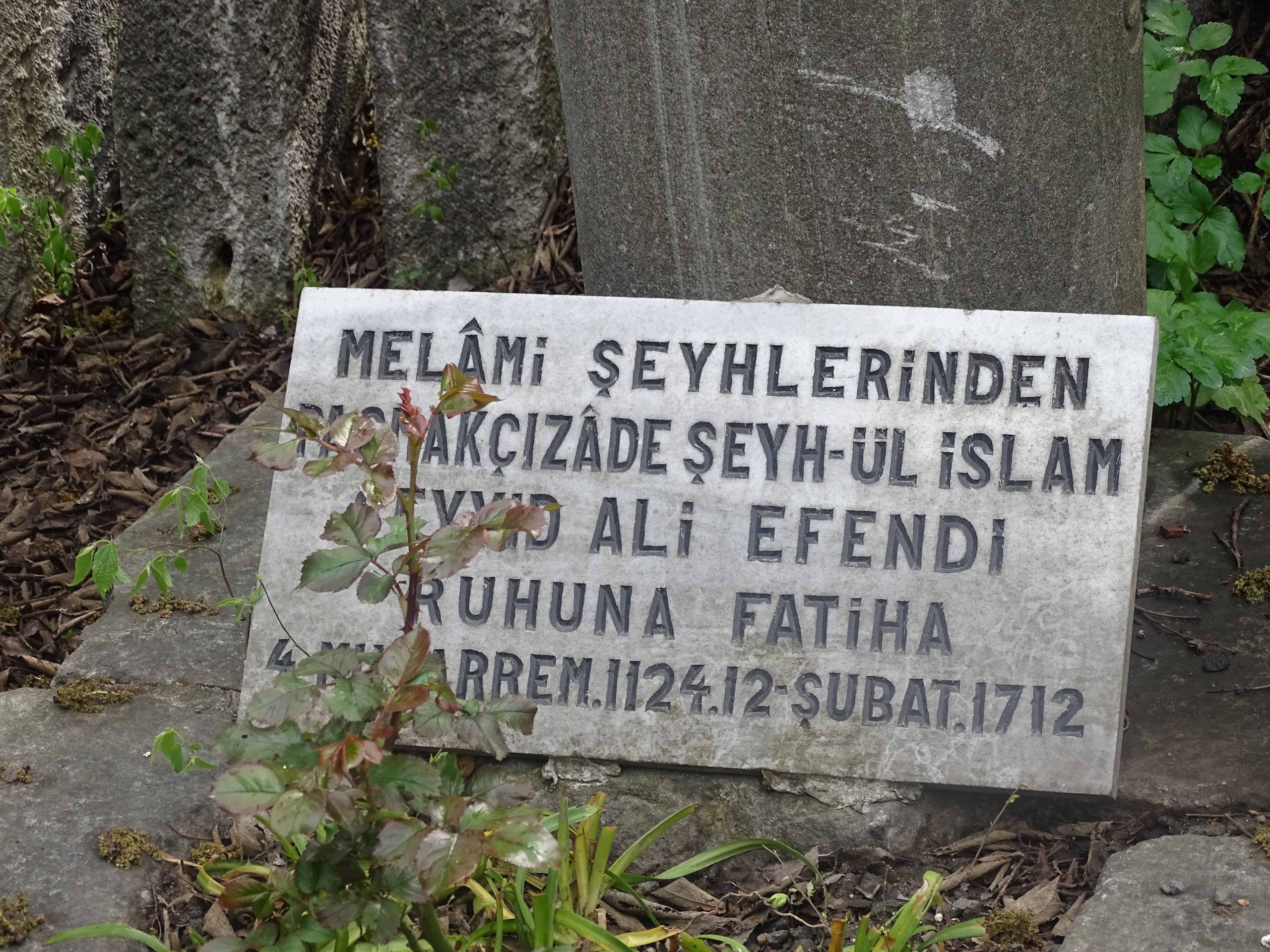 Şeyhülislam Paşmakçızade Seyyid Ali Efendi (k.s.)