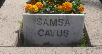 Samsa Çavuş Samsa Çavuş