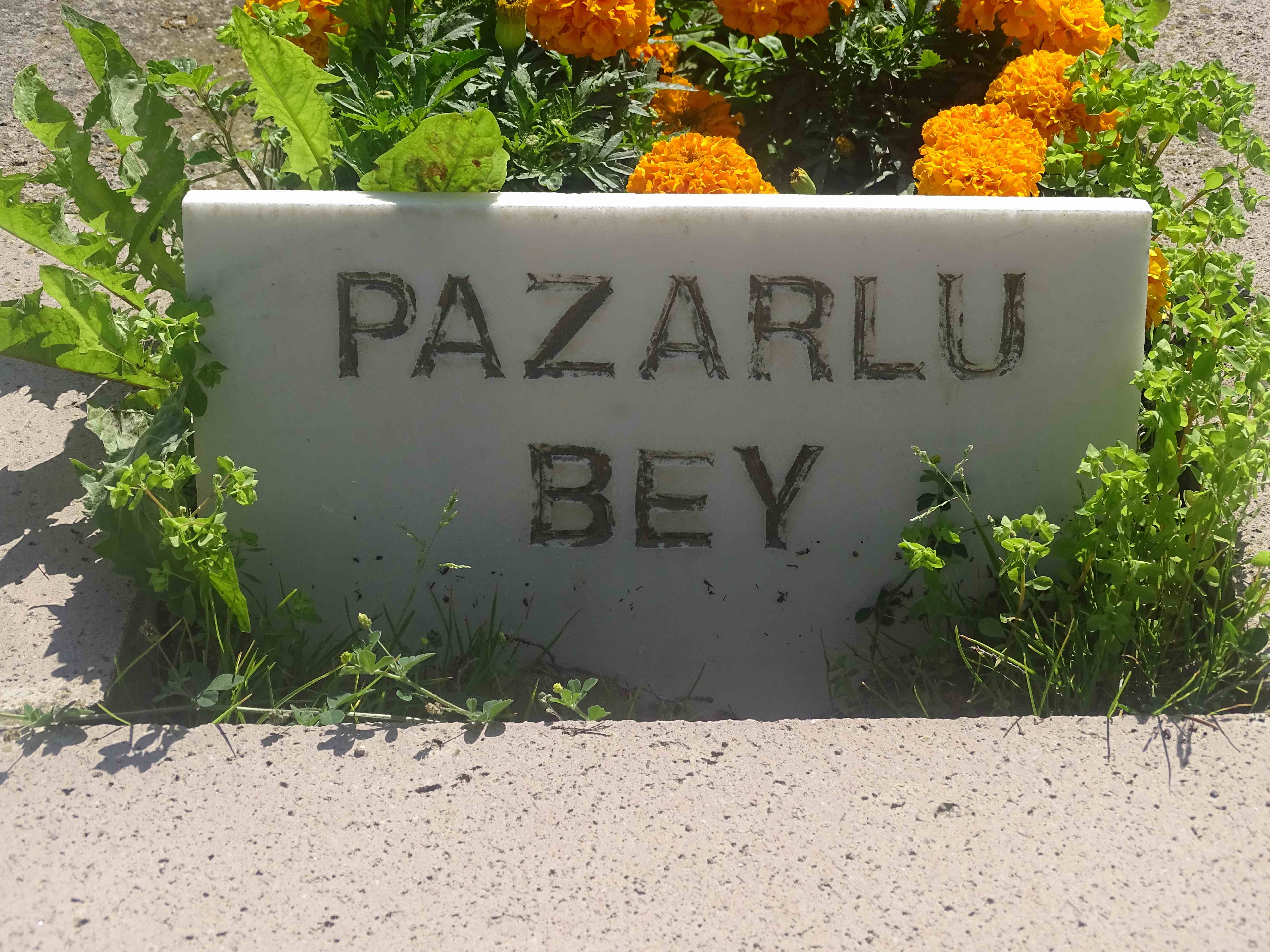 Pazarlı Bey