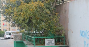 Çiğer dede