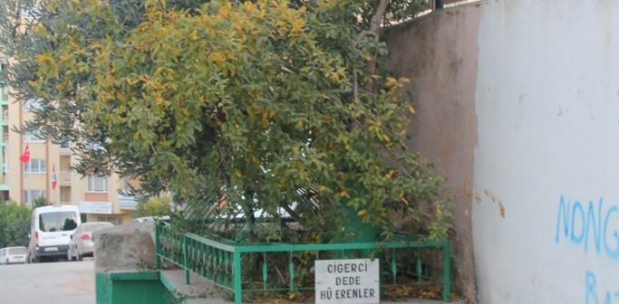 Çiğer dede
