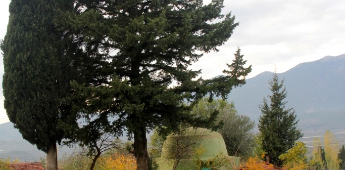Şehit Şah Ahmet Türbesi