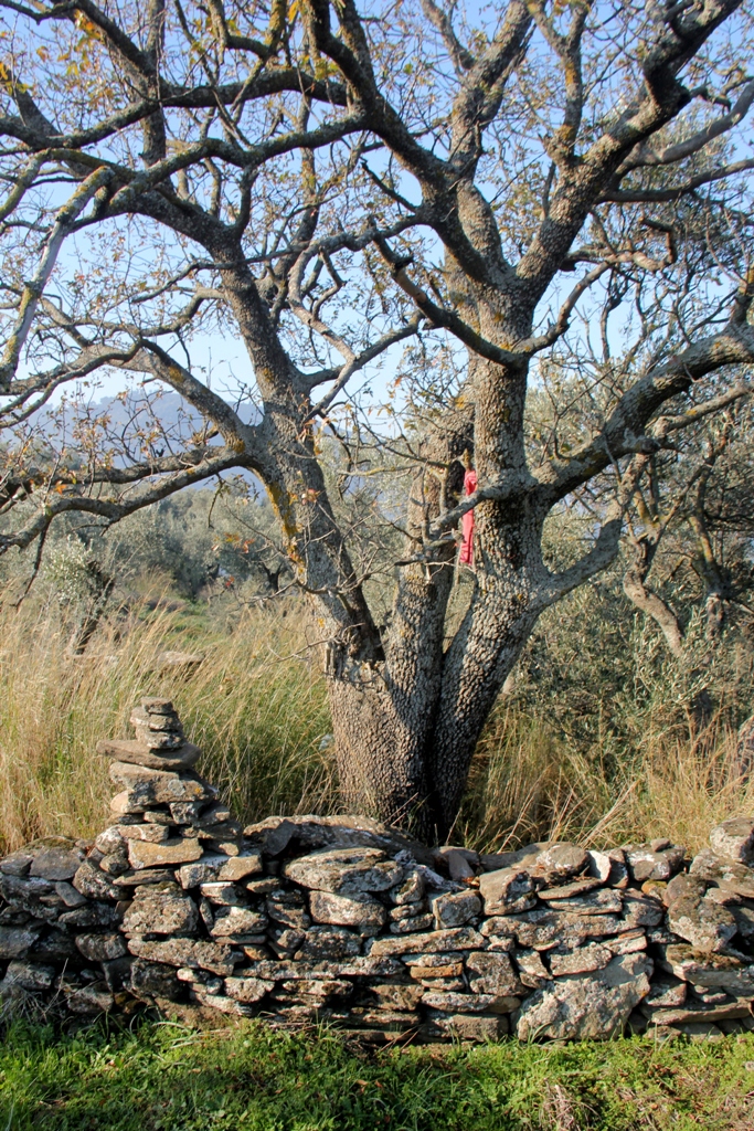 Öksüz Dede – İzmir