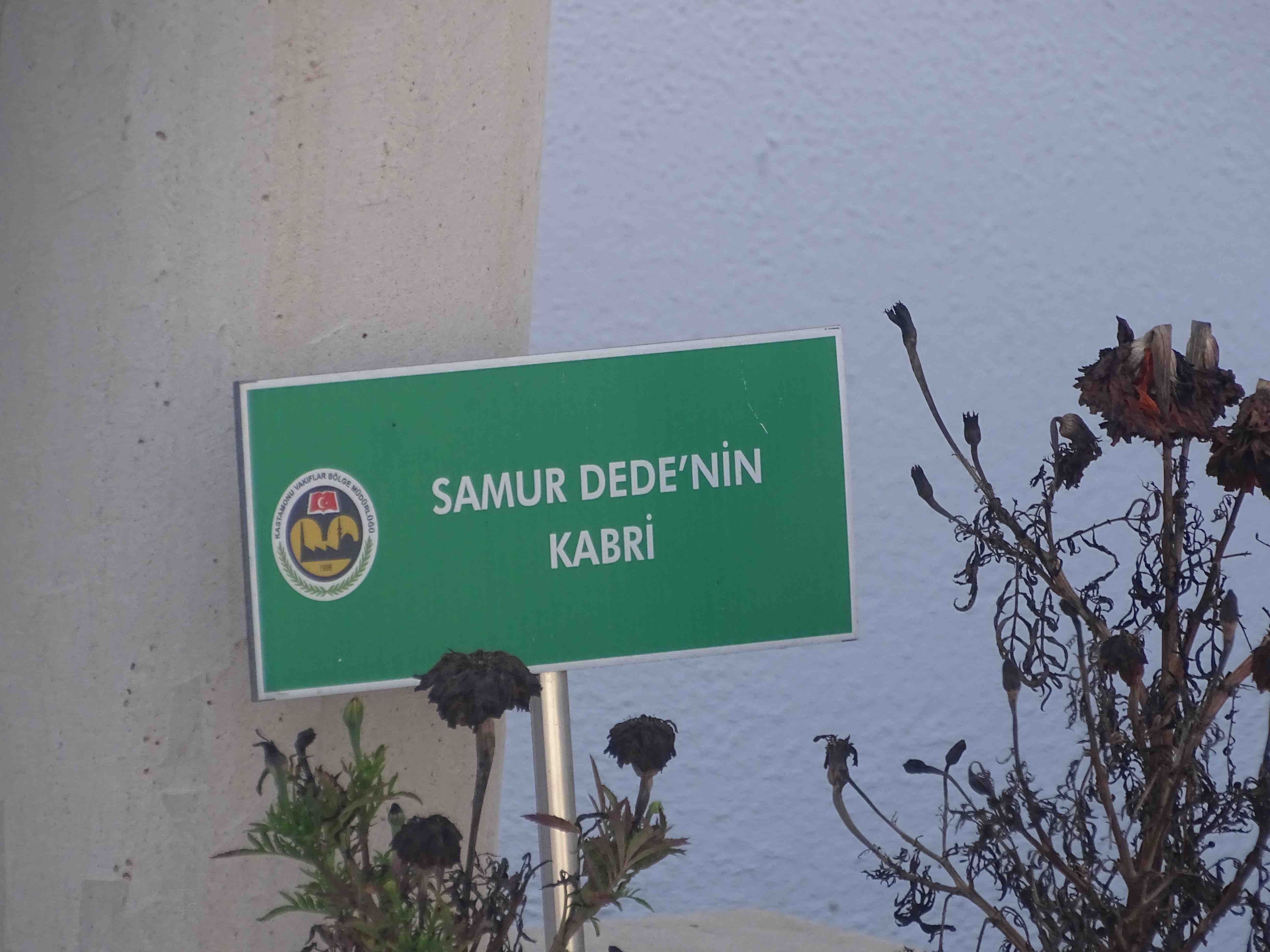 Samur Dede