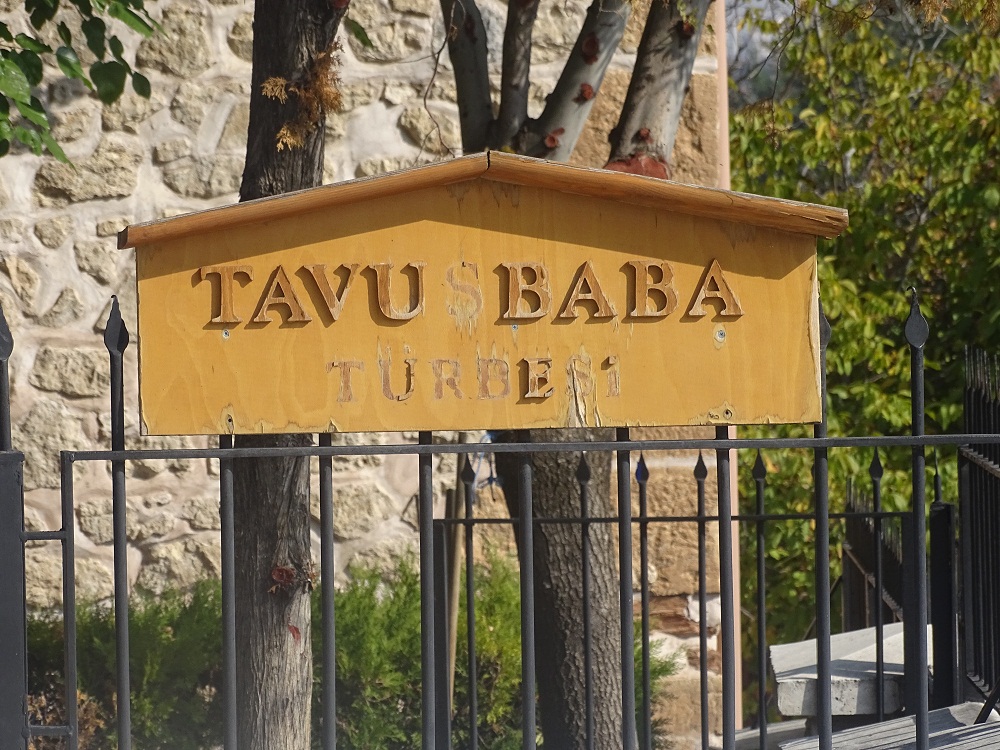 Tavus Baba