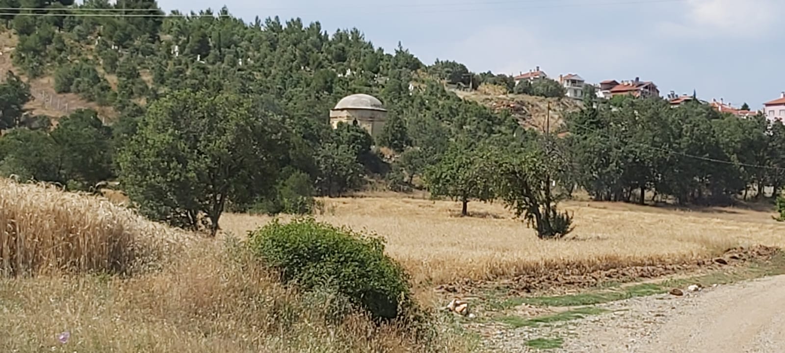 Hacı Ali Türbesi