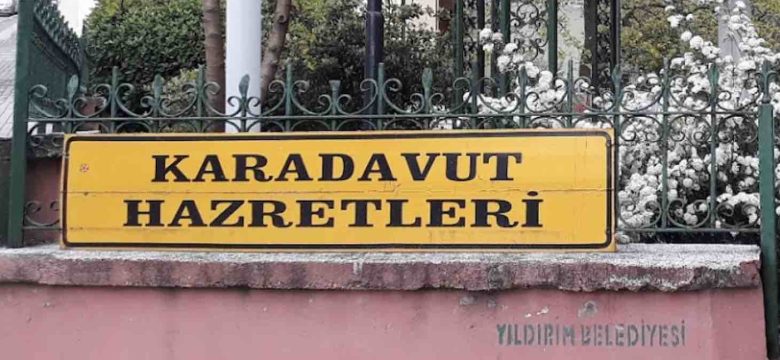 Kara Davut Türbesi