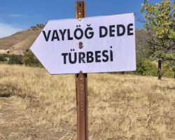 Vayloğ Dede